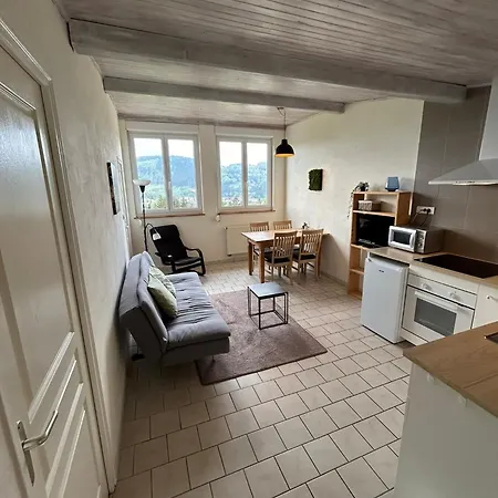 Camping Du Chateau Granges-sur-Vologne Buitenkant foto