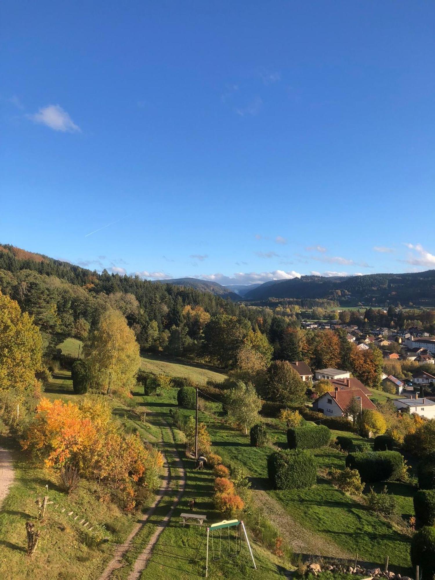 Du Chateau Apartment Granges-sur-Vologne